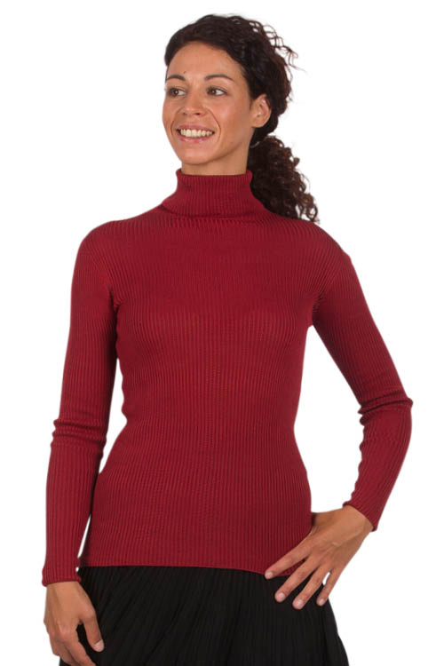 Pull 100% soie col roulé